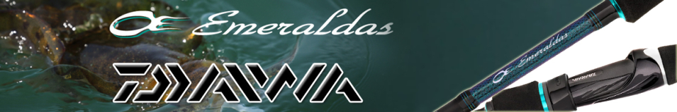 Daiwa Emeraldas MX