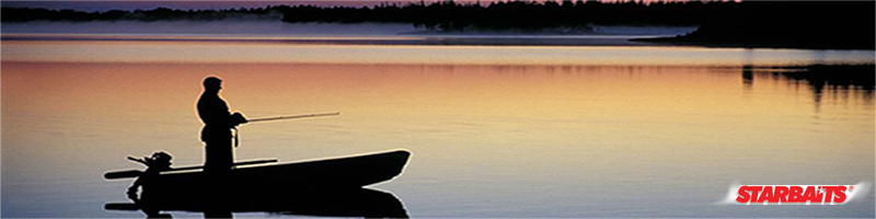 Starbaits Layerz Dip Bloodworm 0.2л