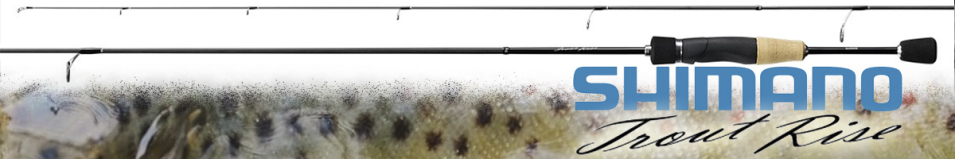 Shimano 19 Trout Rise