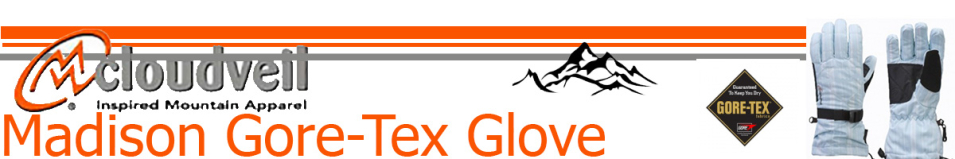 Cloudveil Madison Gore-Tex Glove Glacier