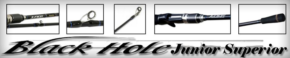 Black Hole Junior Superior