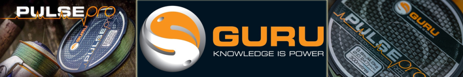 Guru Pulse Pro