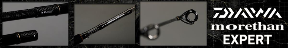 Daiwa Morethan Expert