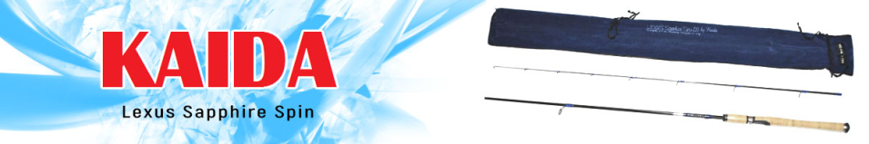 Kaida Lexus