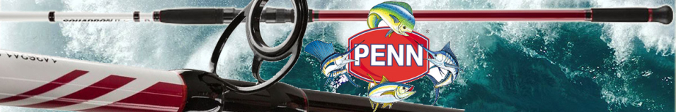 Penn Squadron II Surf