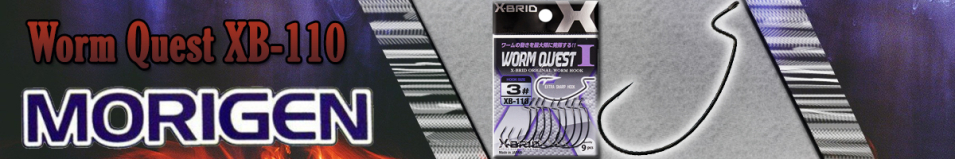 Morigen XB-110