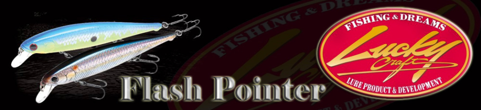 Lucky Craft Flash Pointer 115