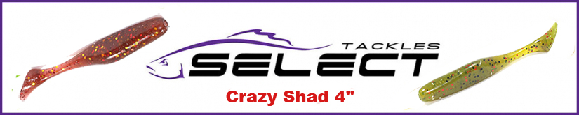 Select Crazy Shad 4"