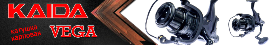 Kaida Vega BR