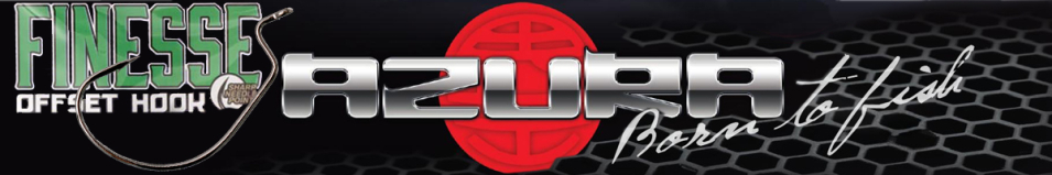 Azura Finesse Offset Hook