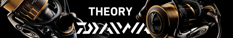 Daiwa Theory