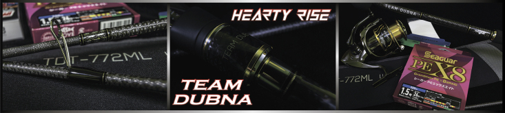 Hearty Rise TDT Limited