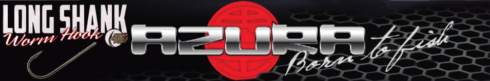 Azura Long Shank Hook