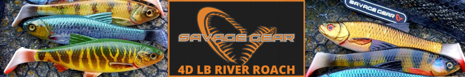 Savage Gear 4D LB River Roach 22cm 125g