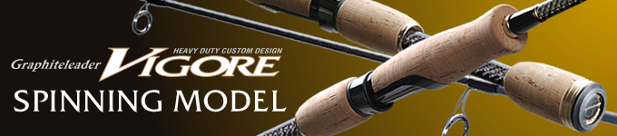 Graphiteleader Vigore