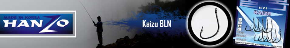 Hanzo Kaizu BLN