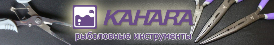 Kahara 8.5 in Stainless long nose pliers