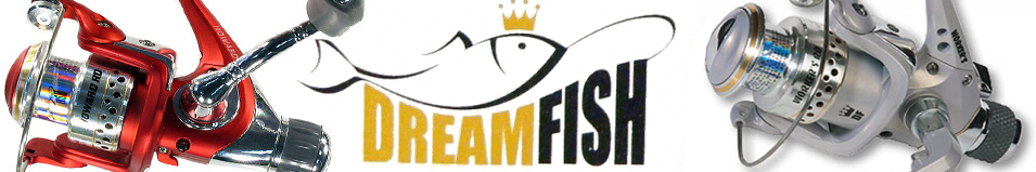 DreamFish