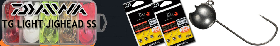 Daiwa TG SW Light Jig Head SS