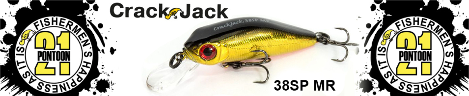 Pontoon21 Crackjack 38SP-MR