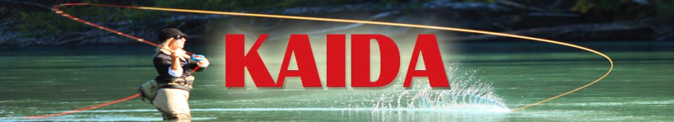 Kaida