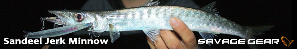 Savage Gear Sandeel Jerk 175