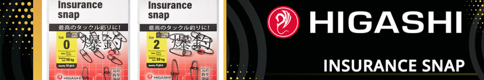 Higashi Insurance Snap