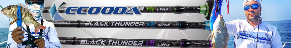 Ecooda Black Thunder Lure