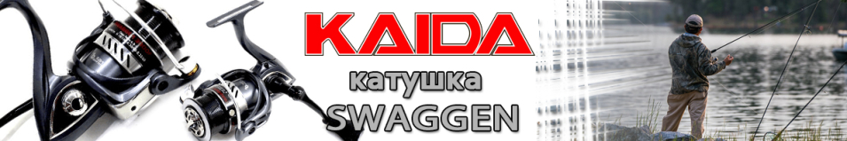 Kaida Swagger