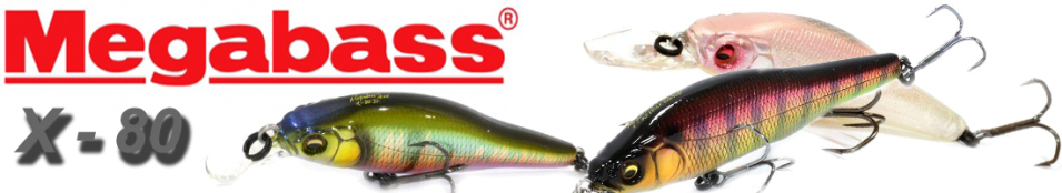 Megabass X-80