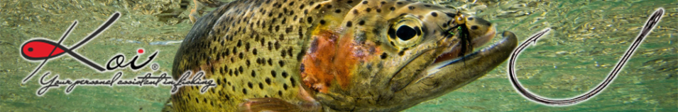 Koi Trout Hook