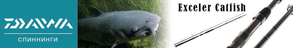 Daiwa Exceler Catfish
