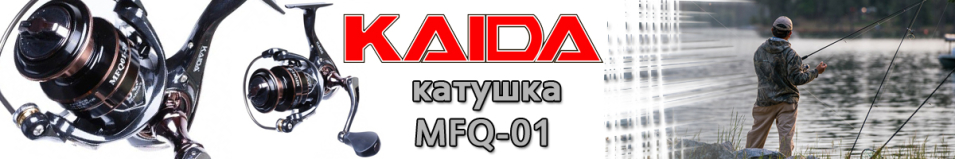 Kaida MFQ-01