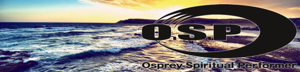 OSP Bent Minnow