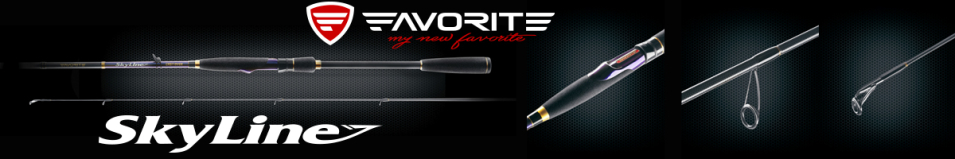 Favorite Skyline SKYA