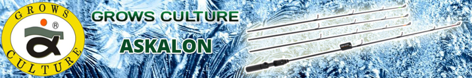 Grows Culture ASK-ON