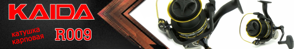 Kaida R009