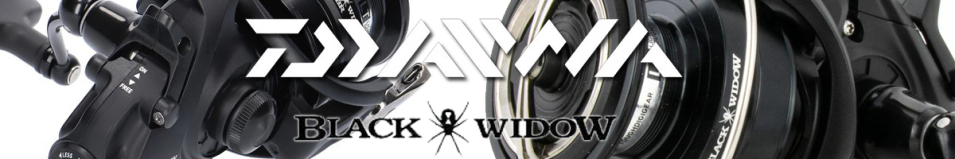 Daiwa 19 Black Widow BR LT