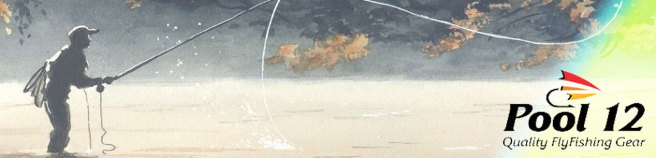 Pool 12 Underwear 2006 