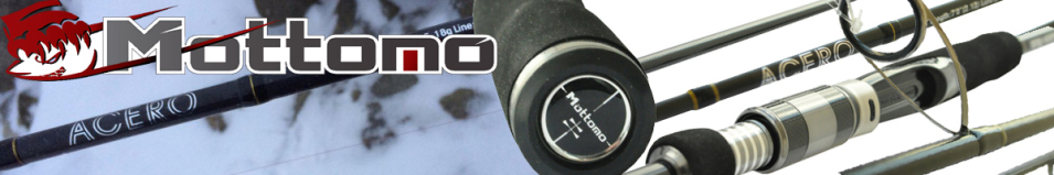 Mottomo Acero