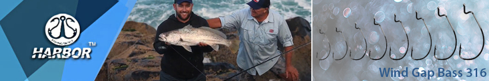 Harbor Wind Gap Bass 316 BC