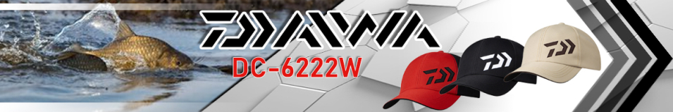 Daiwa DC-6222W