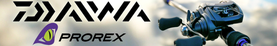Daiwa 20 Prorex PE SV TW