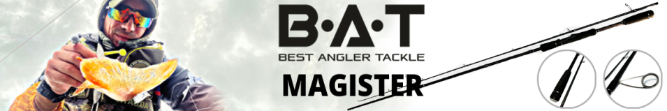 BAT Magister