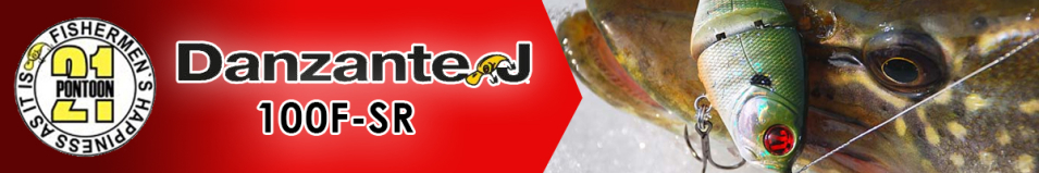 Pontoon21 Danzante J 100F-SR 