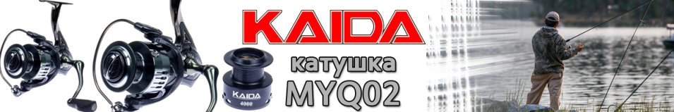 Kaida MYQ02