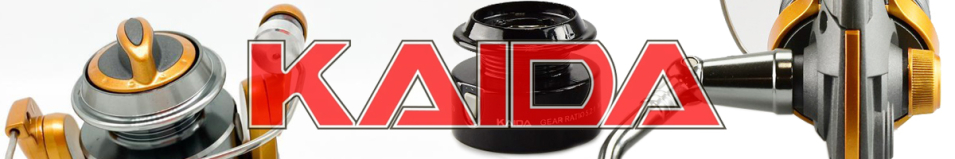Kaida MZQ-02