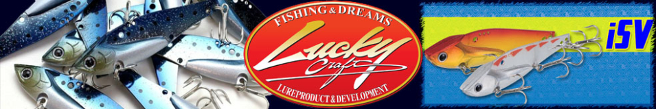 Lucky Craft iSV 80 24g