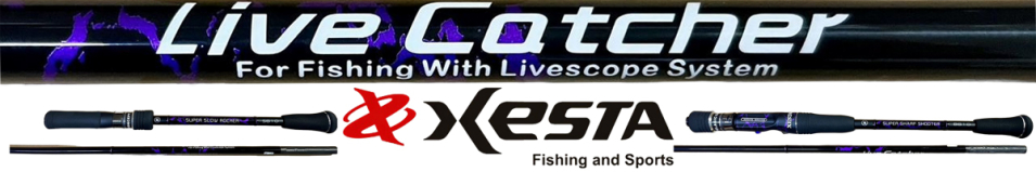 Xesta Live Catcher