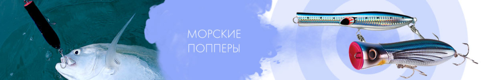 Поппер